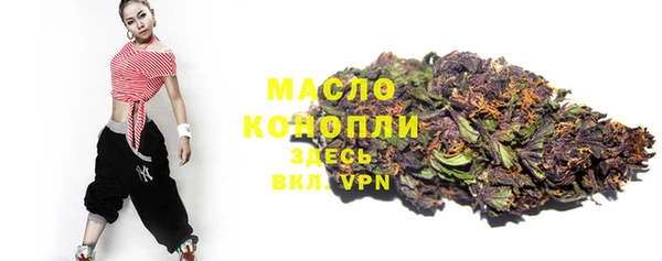 spice Богородск