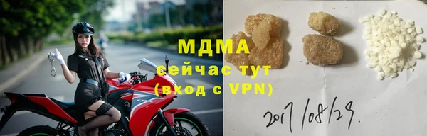 spice Богородск