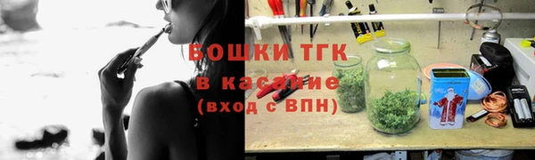 гашик Богданович