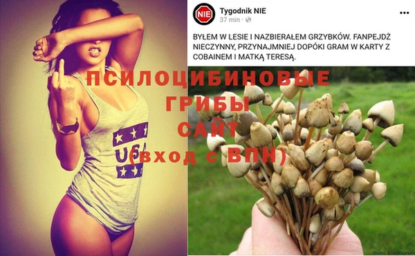 дурь Богородицк