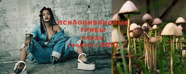 стаф Белокуриха