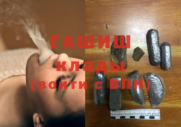 гашик Богданович