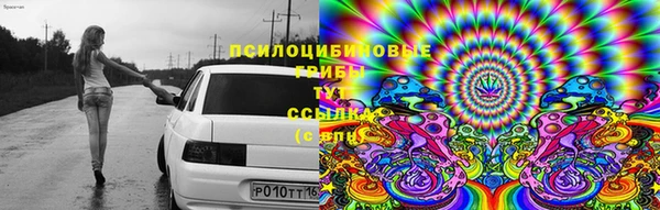 дурь Богородицк