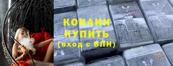 spice Богородск