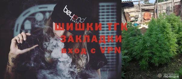 гашик Богданович