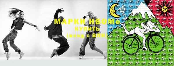 spice Богородск