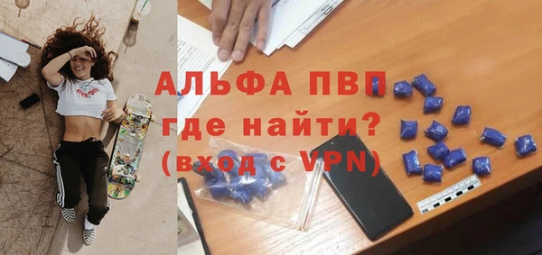 гашик Богданович